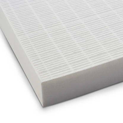 รูปภาพของ แผ่นกรอง ทรู - เฮป้า